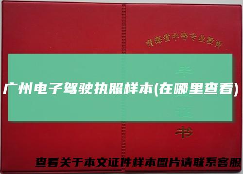 广州电子驾驶执照样本(在哪里查看)