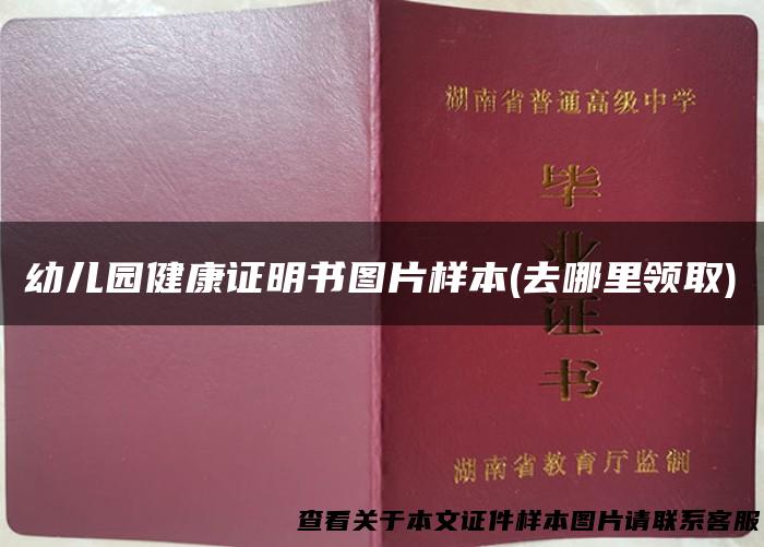 幼儿园健康证明书图片样本(去哪里领取)