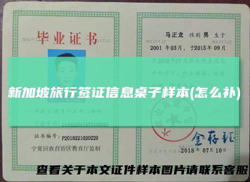 新加坡旅行签证信息桌子样本(怎么补)
