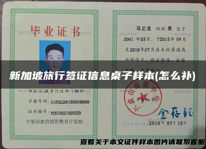 新加坡旅行签证信息桌子样本(怎么补)