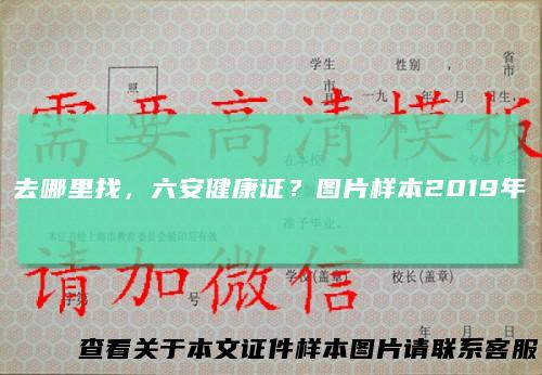 去哪里找，六安健康证？图片样本2019年