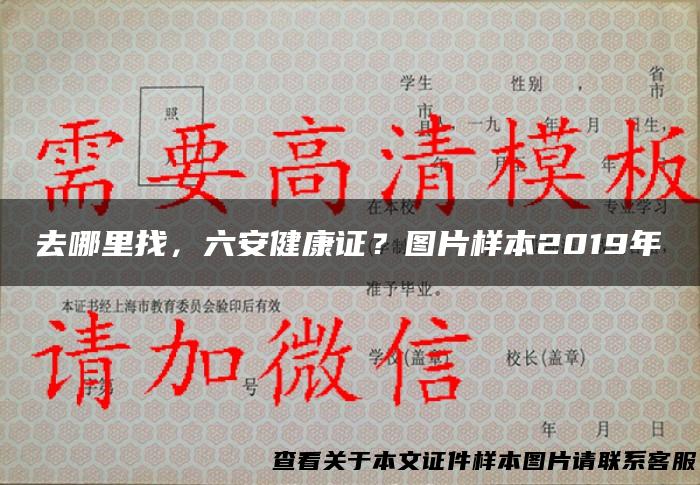 去哪里找，六安健康证？图片样本2019年