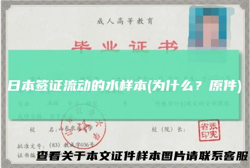 日本签证流动的水样本(为什么?原件)