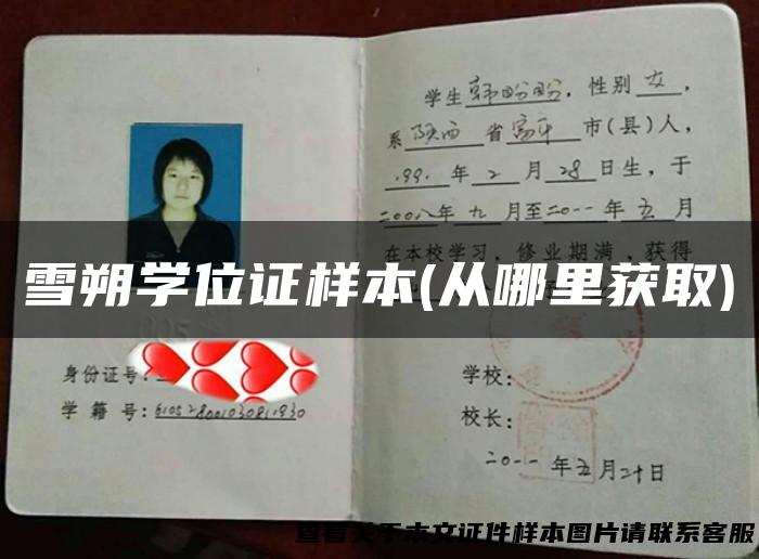 雪朔学位证样本(从哪里获取)