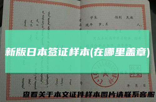 新版日本签证样本(在哪里盖章)