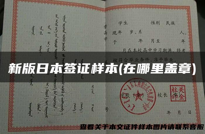 新版日本签证样本(在哪里盖章)
