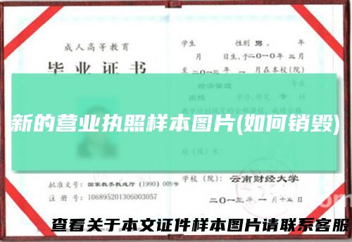 新的营业执照样本图片(如何销毁)