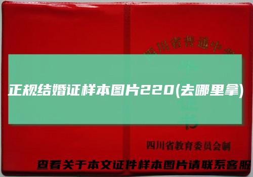 正规结婚证样本图片220(去哪里拿)