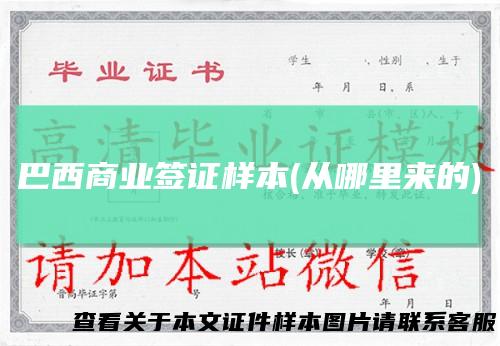 巴西商业签证样本(从哪里来的)