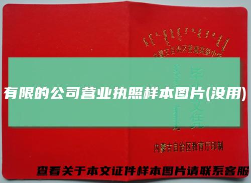 有限的公司营业执照样本图片(没用)