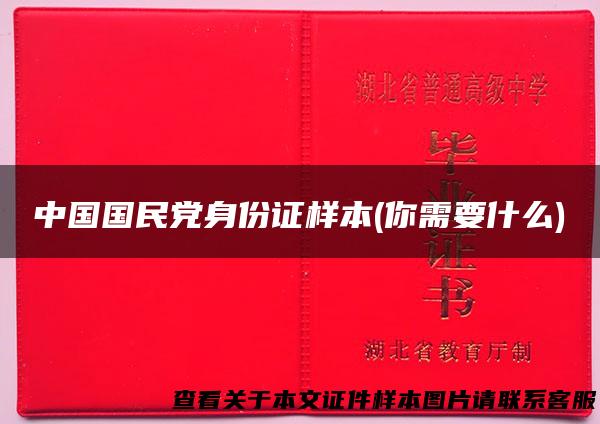 中国国民党身份证样本(你需要什么)