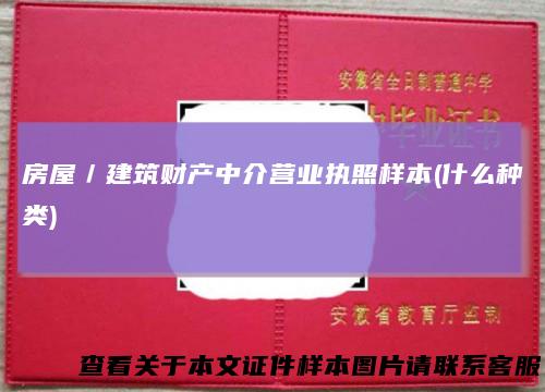 房屋/建筑财产中介营业执照样本(什么种类)