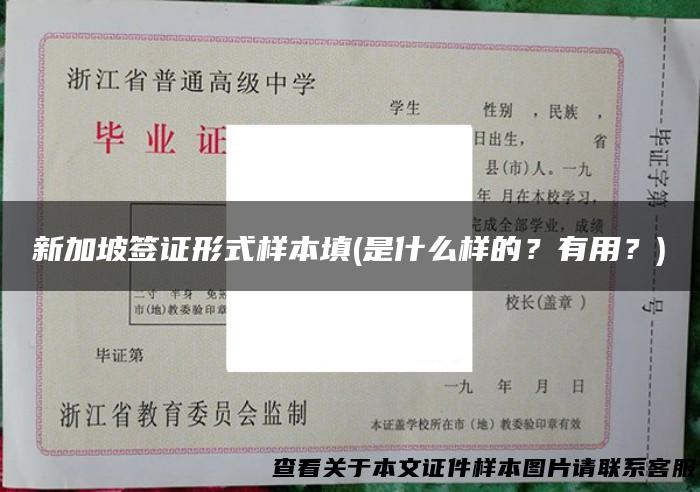 新加坡签证形式样本填(是什么样的？有用？)