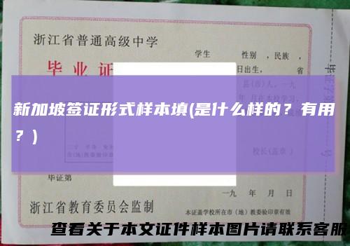 新加坡签证形式样本填(是什么样的？有用？)
