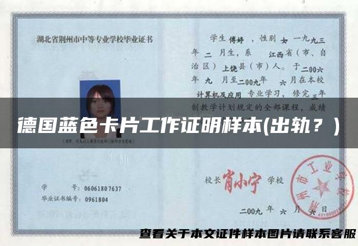 德国蓝色卡片工作证明样本(出轨？)