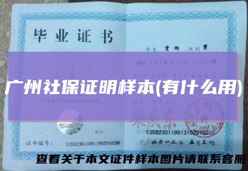 广州社保证明样本(有什么用)