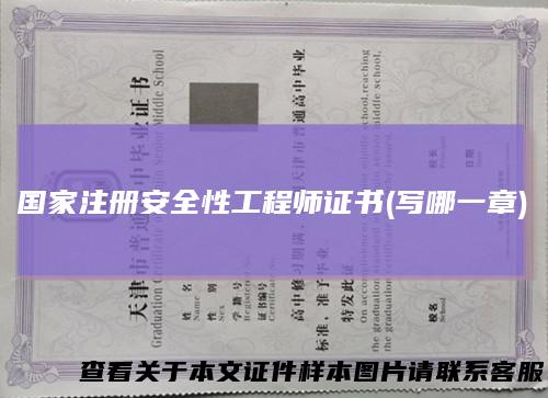 国家注册安全性工程师证书(写哪一章)