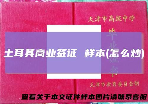 土耳其商业签证 样本(怎么炒)
