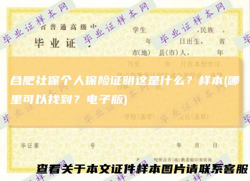 合肥社保个人保险证明这是什么？样本(哪里可以找到？电子版)