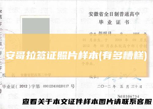 安哥拉签证照片样本(有多糟糕)