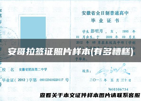 安哥拉签证照片样本(有多糟糕)