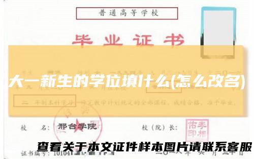 大一新生的学位填什么(怎么改名)