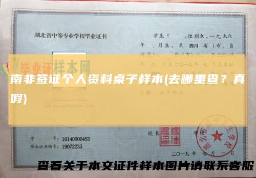 南非签证个人资料桌子样本(去哪里查？真假)