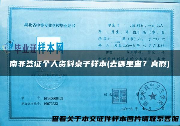南非签证个人资料桌子样本(去哪里查？真假)