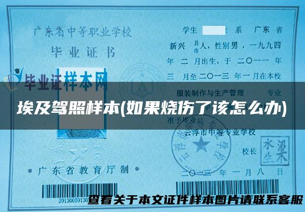 埃及驾照样本(如果烧伤了该怎么办)