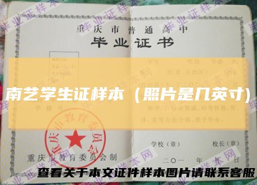 南艺学生证样本（照片是几英寸)