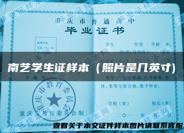 南艺学生证样本（照片是几英寸)