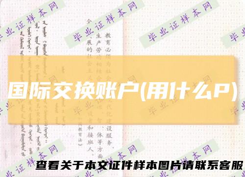 国际交换账户(用什么P)