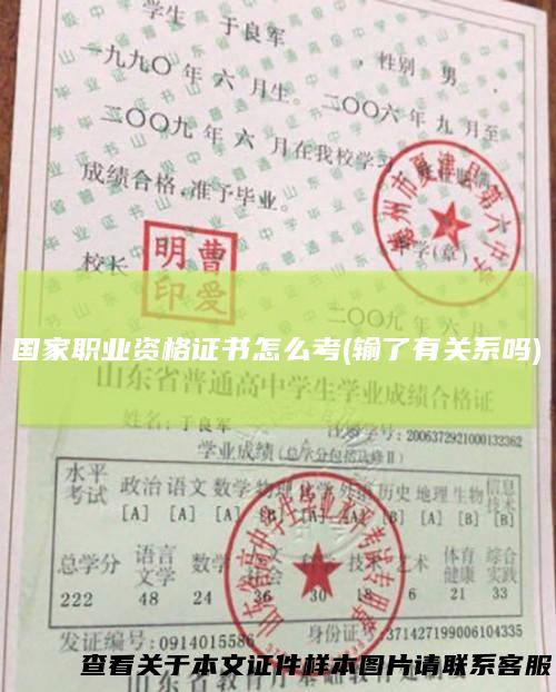 国家职业资格证书怎么考(输了有关系吗)