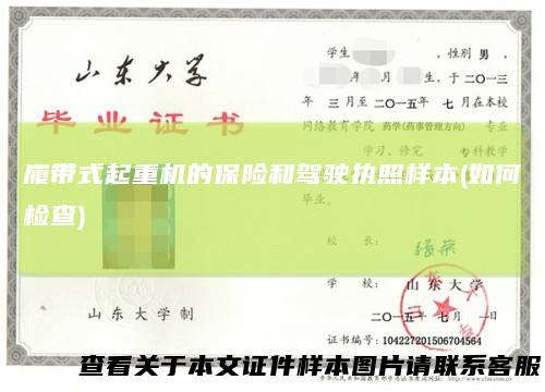 履带式起重机的保险和驾驶执照样本(如何检查)