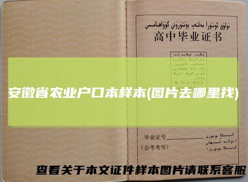 安徽省农业户口本样本(图片去哪里找)