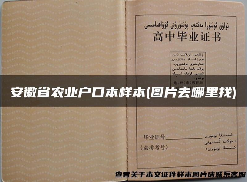 安徽省农业户口本样本(图片去哪里找)