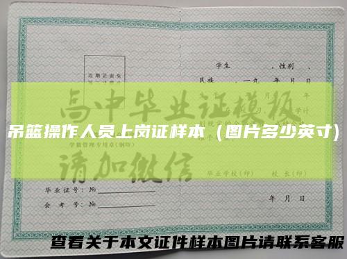 吊篮操作人员上岗证样本（图片多少英寸)