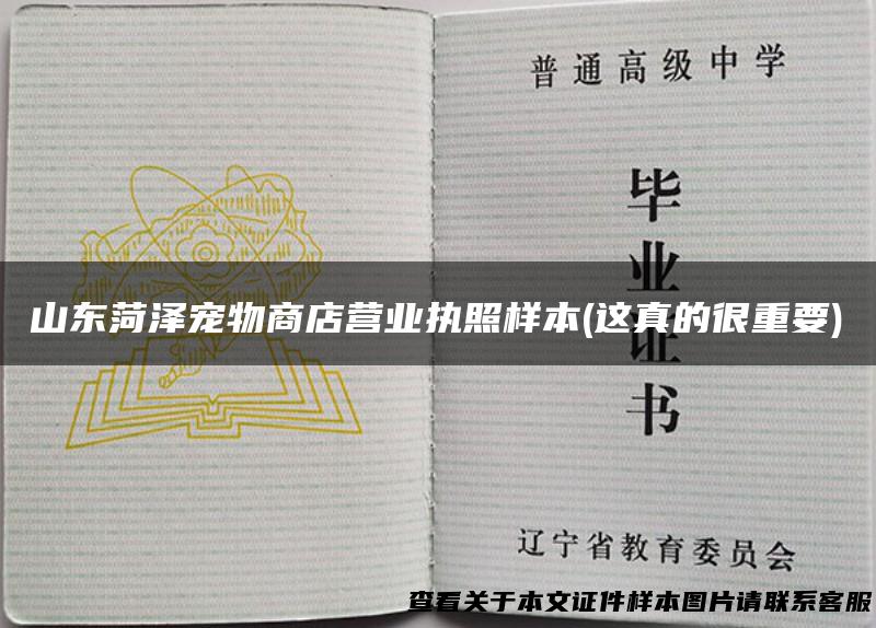 山东菏泽宠物商店营业执照样本(这真的很重要)