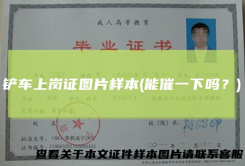 铲车上岗证图片样本(能催一下吗？)