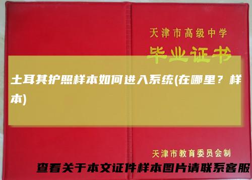 土耳其护照样本如何进入系统(在哪里？样本)