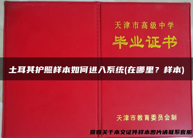 土耳其护照样本如何进入系统(在哪里？样本)
