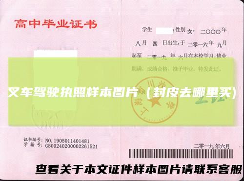 叉车驾驶执照样本图片（封皮去哪里买)