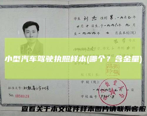 小型汽车驾驶执照样本(哪个？含金量)