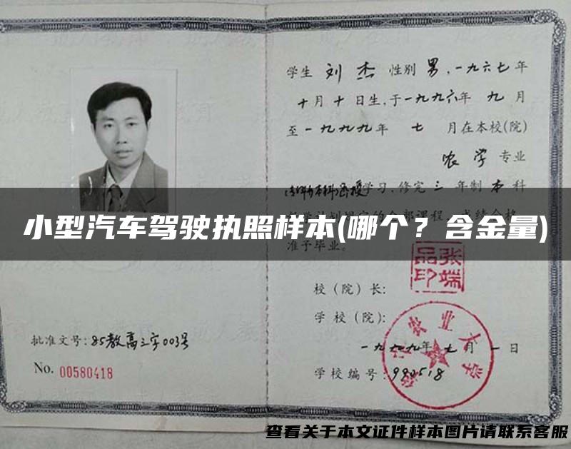 小型汽车驾驶执照样本(哪个？含金量)