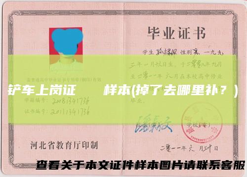 铲车上岗证 样本(掉了去哪里补？)