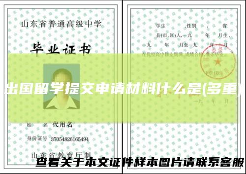 出国留学提交申请材料什么是(多重)