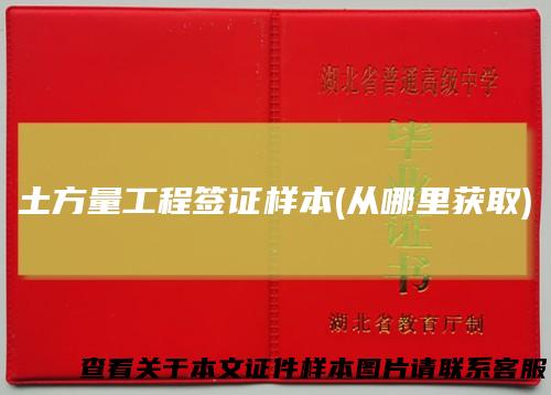 土方量工程签证样本(从哪里获取)