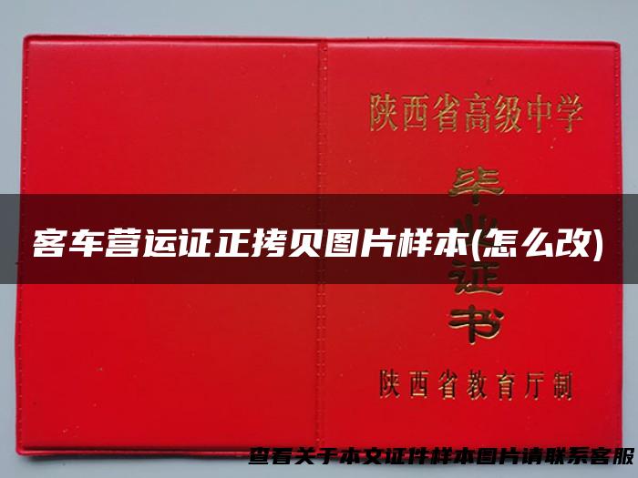 客车营运证正拷贝图片样本(怎么改)