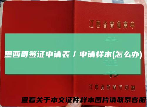墨西哥签证申请表／申请样本(怎么办)