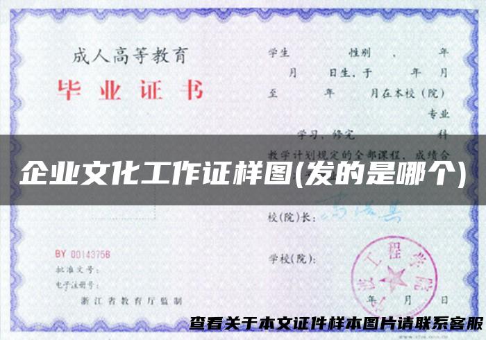 企业文化工作证样图(发的是哪个)